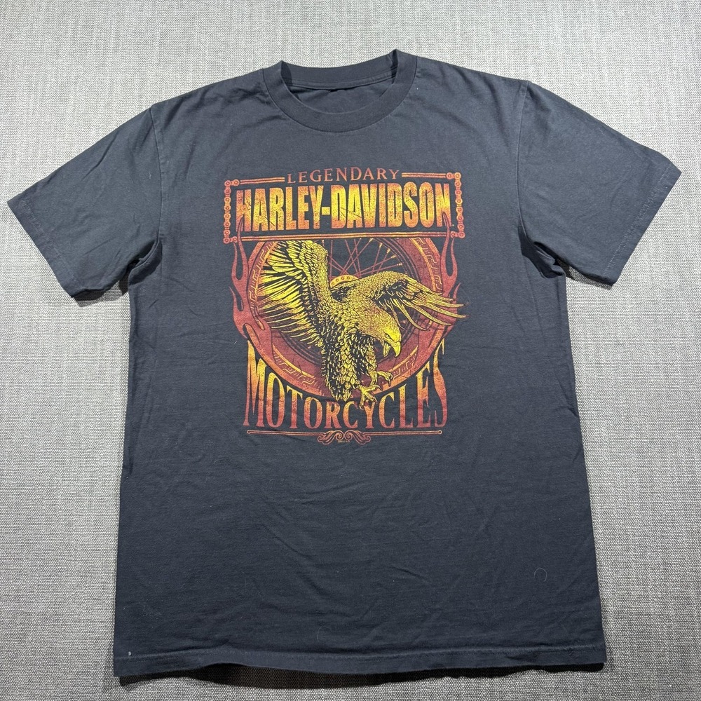 Harley-Davidson Shirt Mens Large Gray Eagle Brunswick Troy NY Motorcycle Tee - Picture 3 of 7